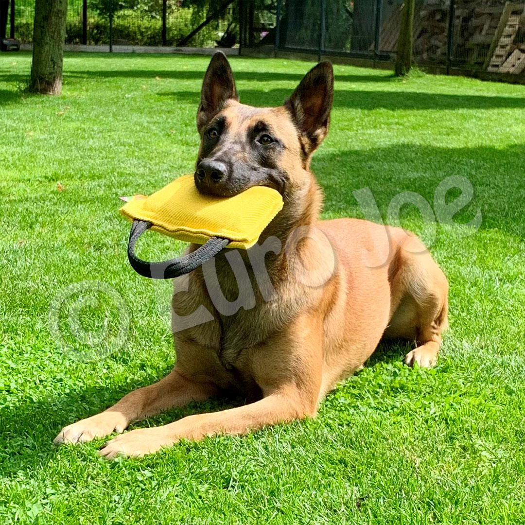 "Just Play" Bite Pillow – Reward &amp; Training Toy