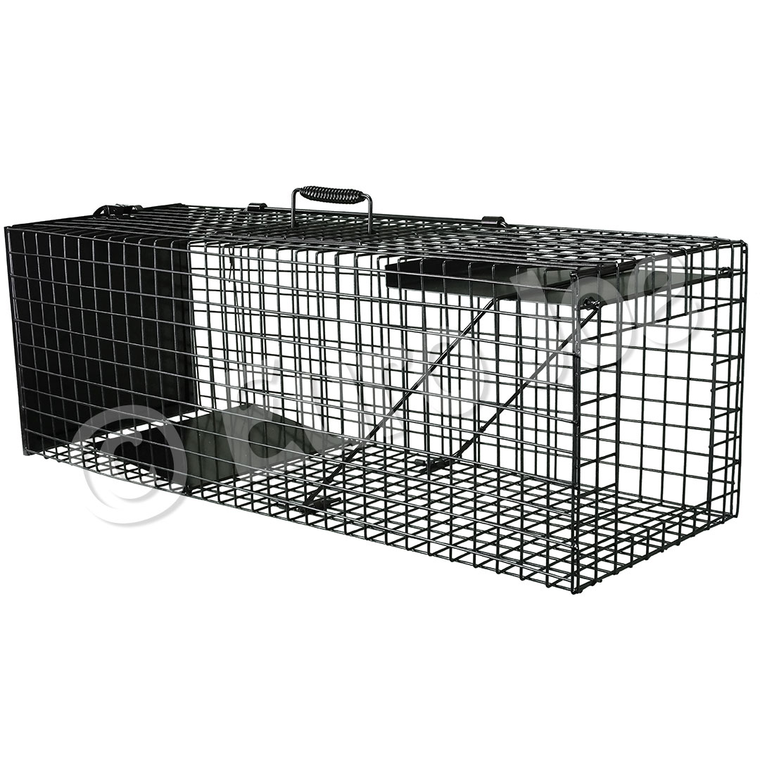 Single entrance cat trap