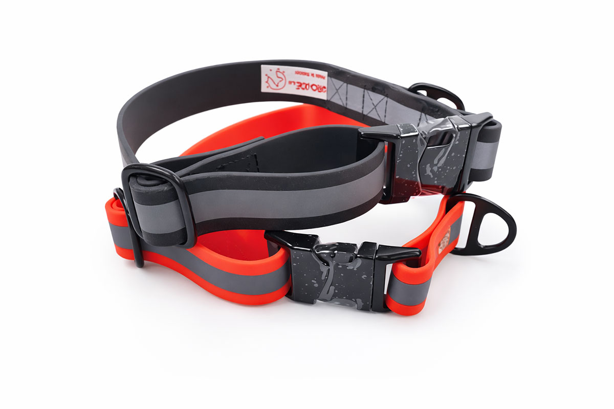 FlashX Halsband met Reflecterende Band – 25 mm