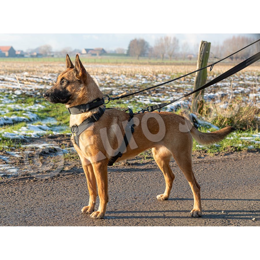 "Iron Power" Police Leash dark camouflage "Iron Power" Police Leash dark camouflage