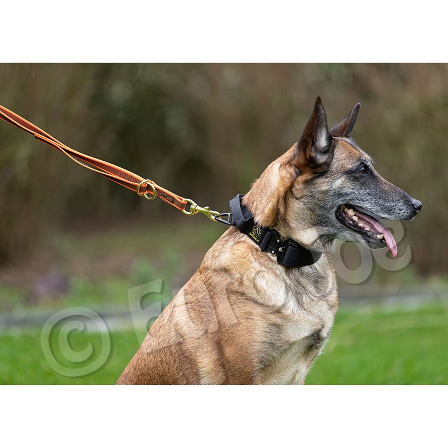 Adjustable Leash "Lirka" Adjustable Leash "Lirka"