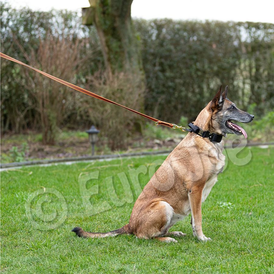 Adjustable Leash "Lirka" Adjustable Leash "Lirka"