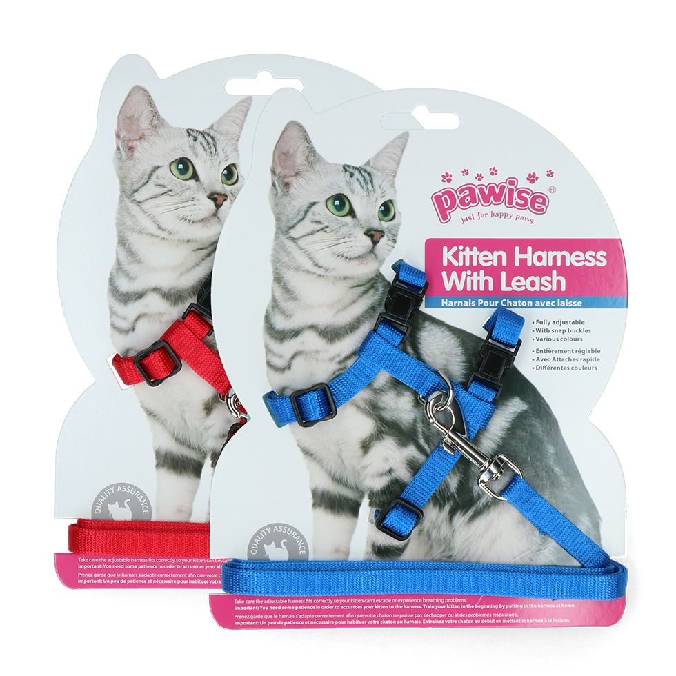 Pawise Kitten Harness With Leash Red/Blue