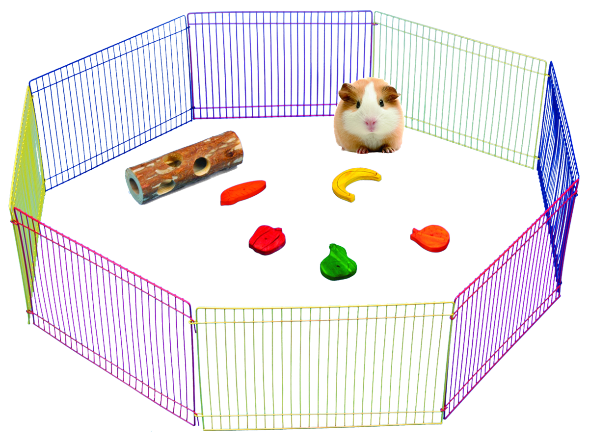 Pawise Small Animal Play Pen 
