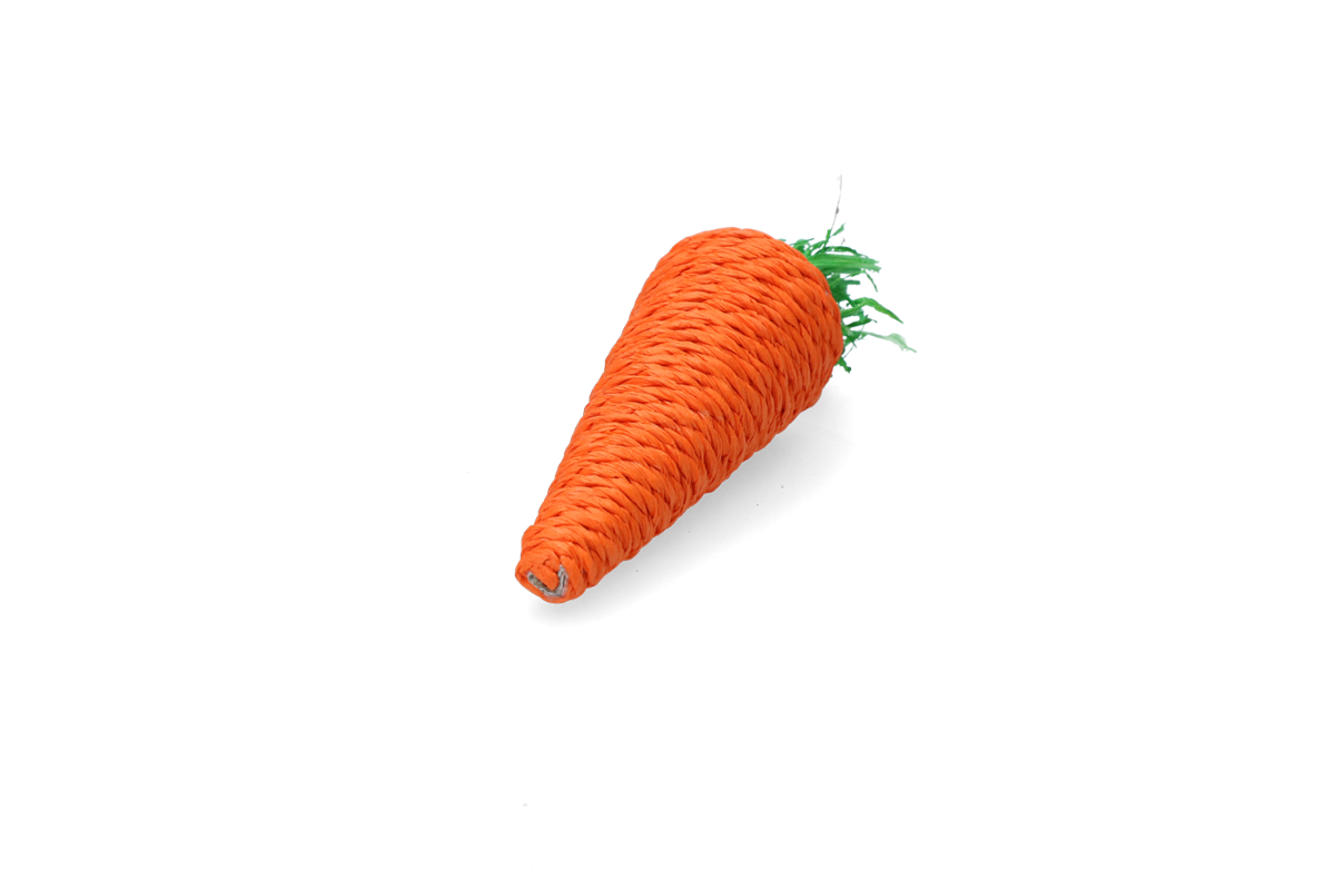 Pawise Play &amp; Chew Carrot