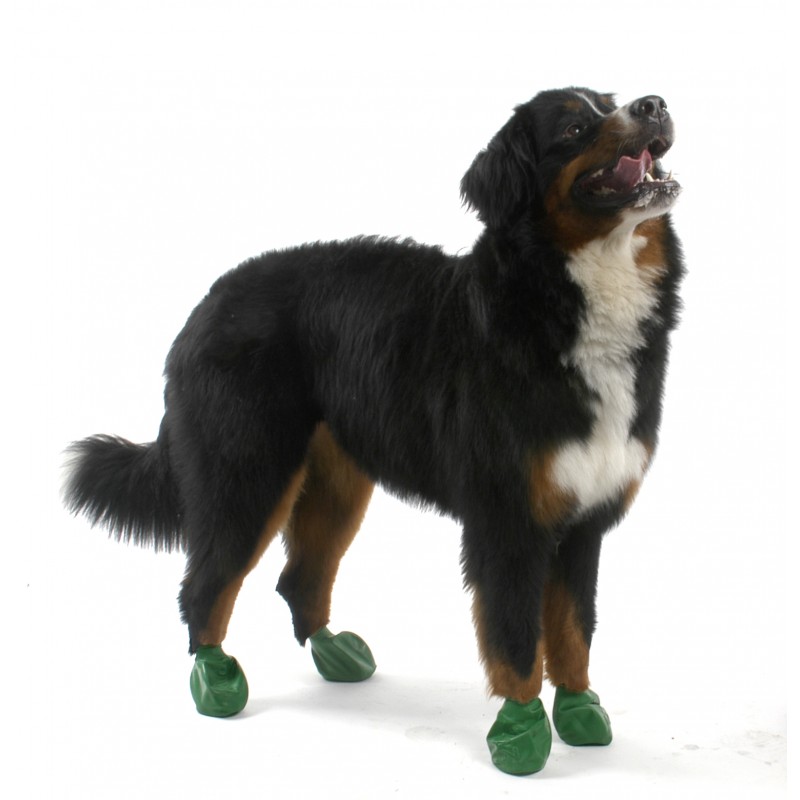 Pawz Rubber Boots