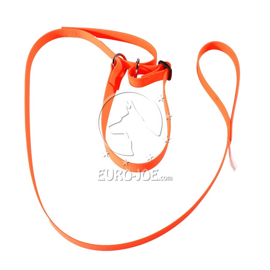 Adjustable Sporty Slip Leash Adjustable Sporty Slip Leash