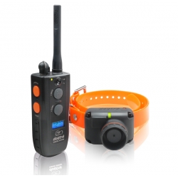 Dogtra 2600 T&amp;B