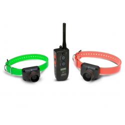 Dogtra 2602 T&amp;B
