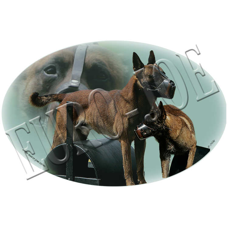 Transfer "Ring Muzzle"