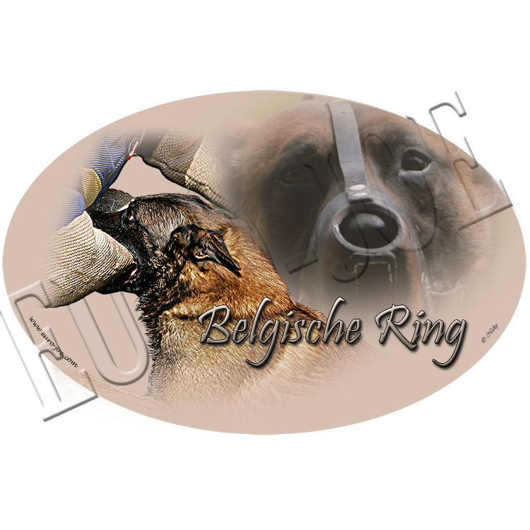 Transfer "Ring arm biter"