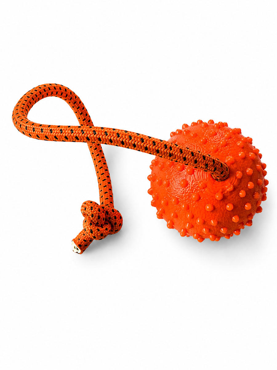 K9 training ball