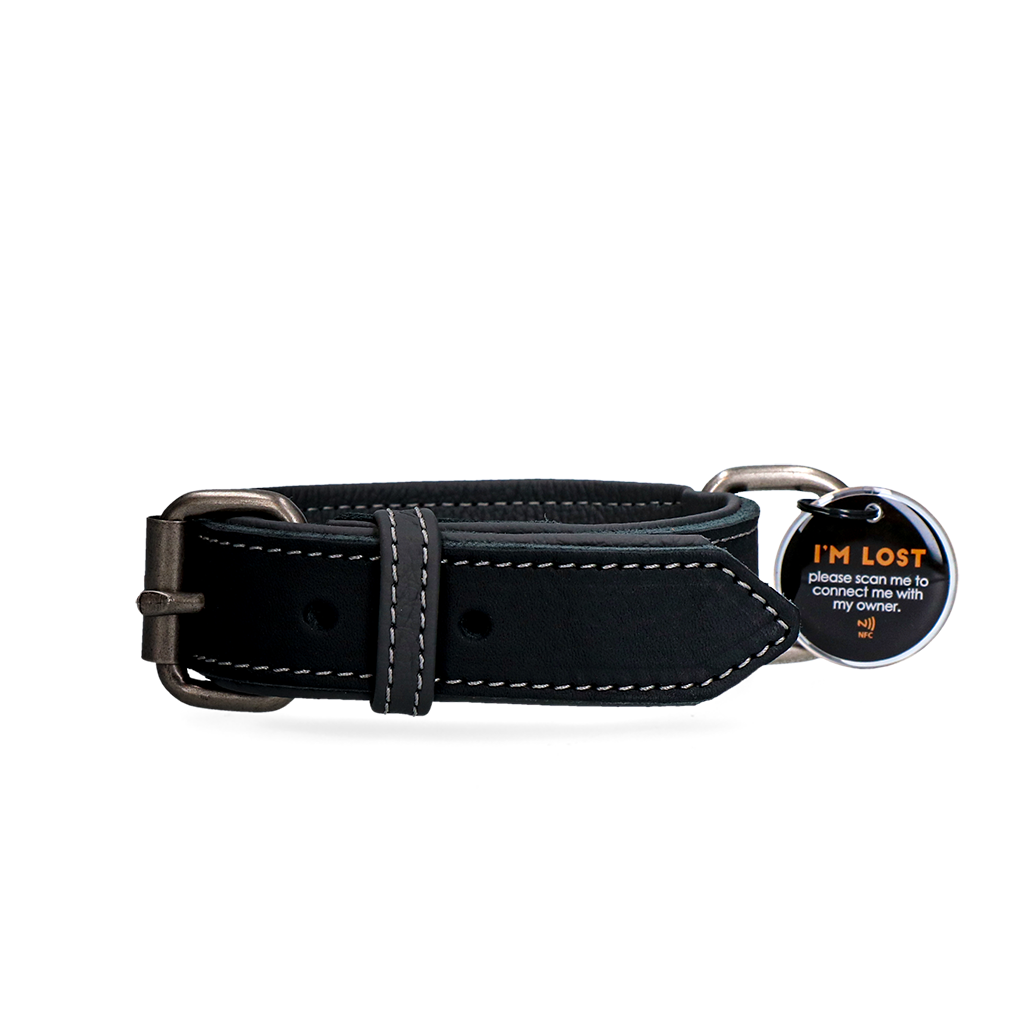 Spotted! Pro Leather Collar
