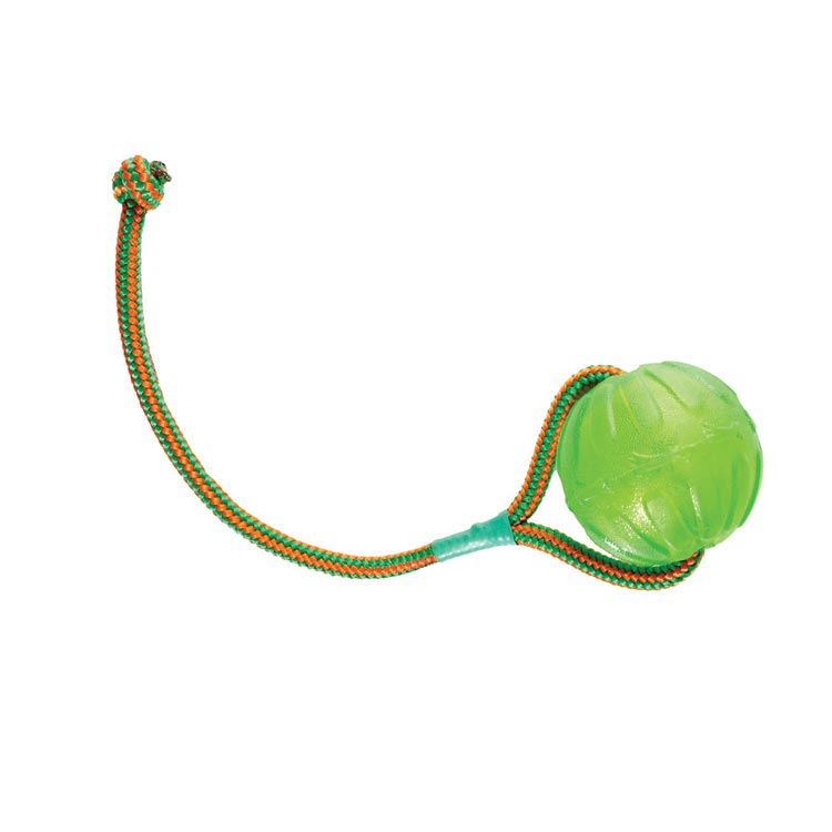 Swing 'n fling chewball on rope