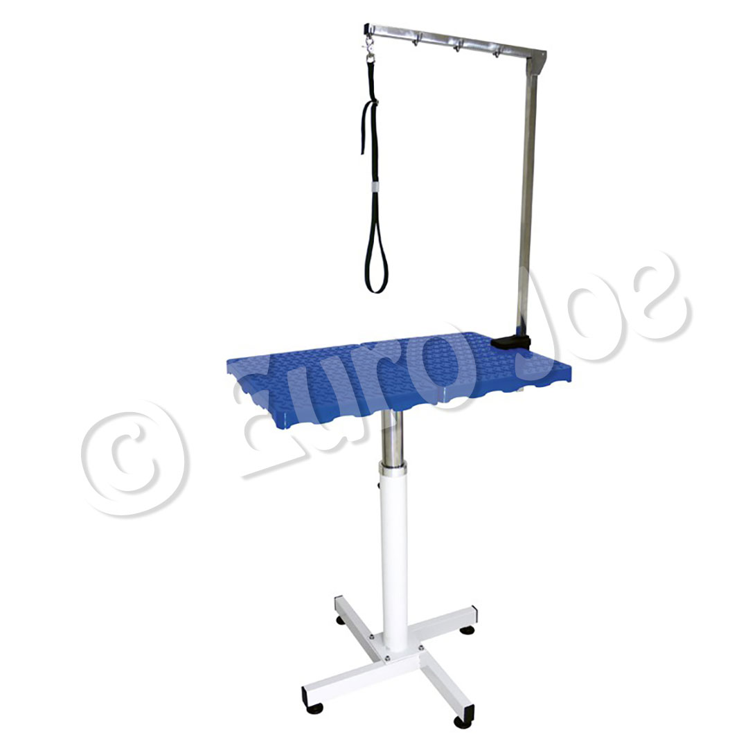 Pneumatic rotating table