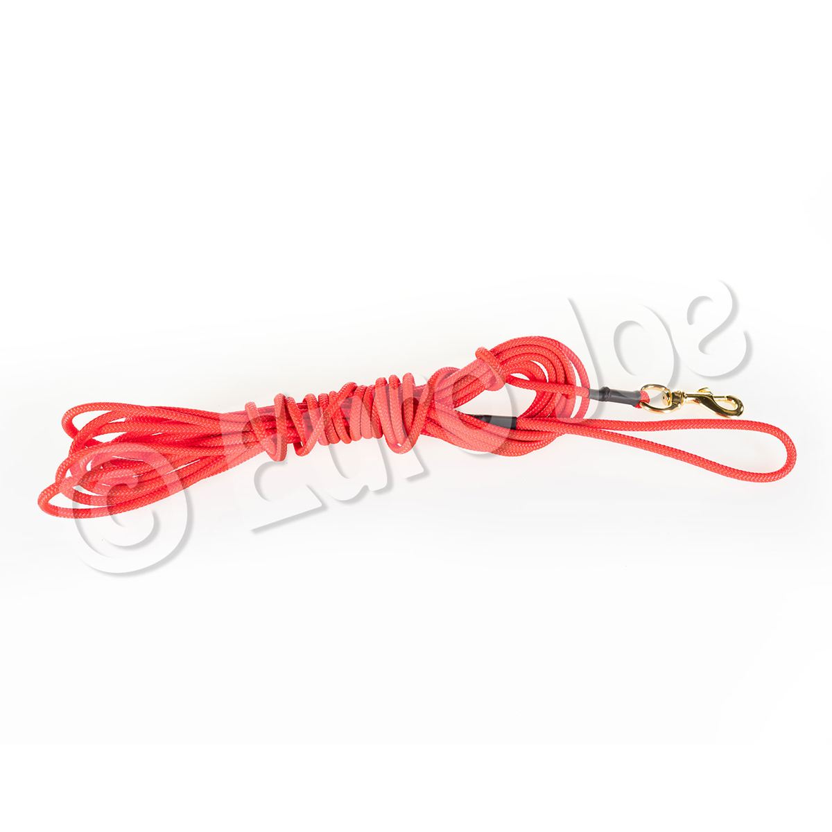 6 mm Rope Leash