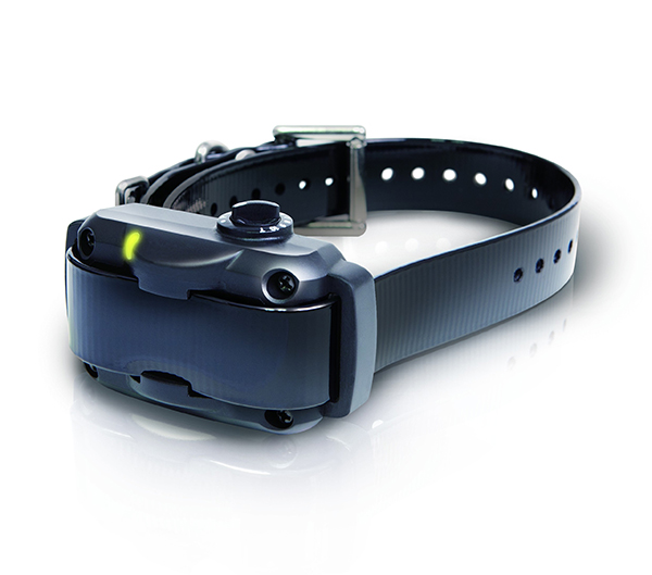 Dogtra YS300 anti bark collar