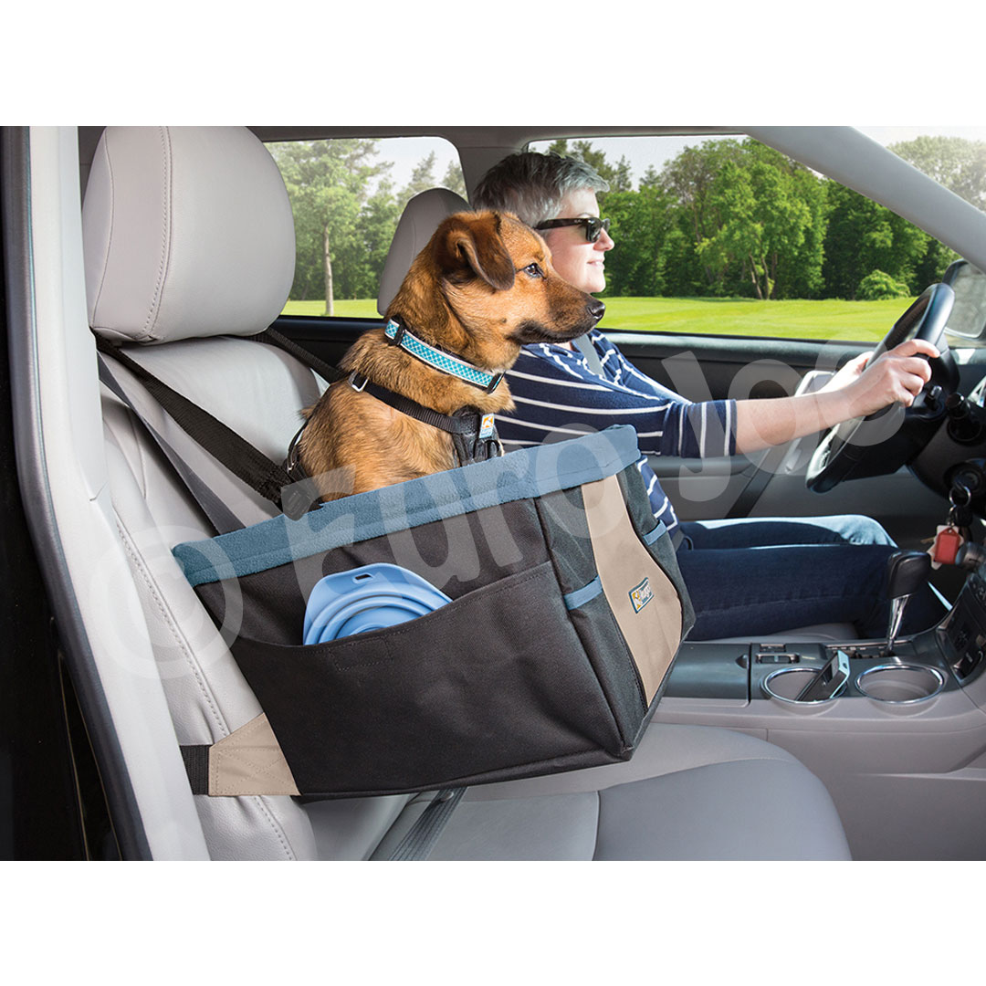 roem Oneerlijkheid noodsituatie Accessoires om de hond in auto te vervoeren
