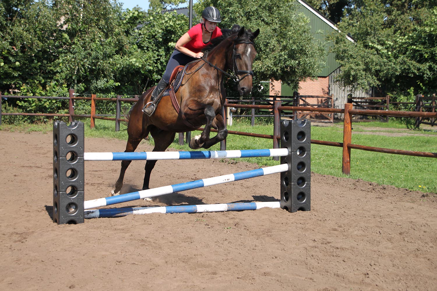 Horse jumps - Jump materials for poney and horse