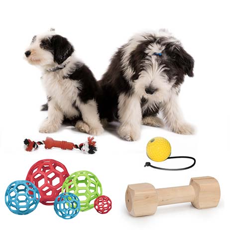 Hundespielzeug - Spielzeug für Hunde