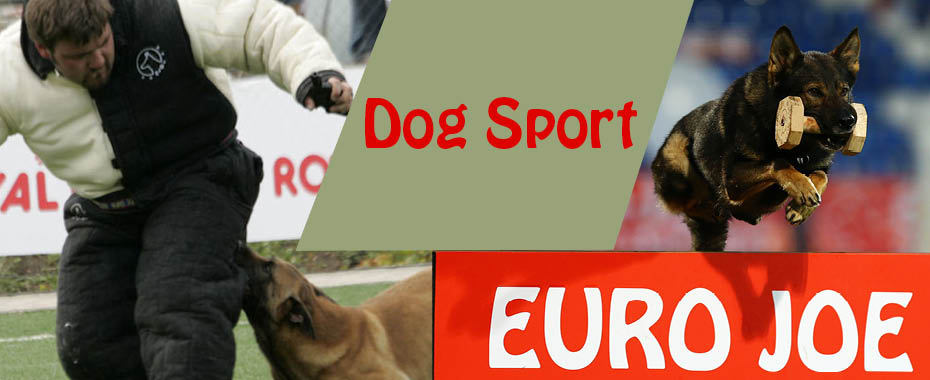 wetenschappelijk huilen Pracht Euro Joe K9 Shop | Dog Sport | Canine Equipment