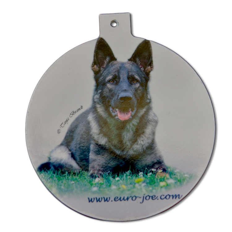 dog tags or personalised ID tags for your pets