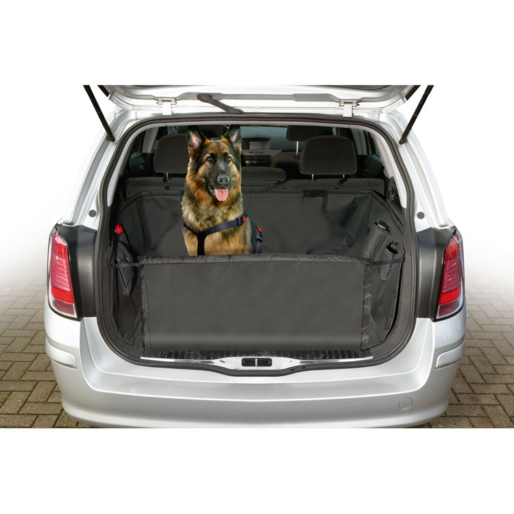 Car accessories for dogs to transport them safely in the car