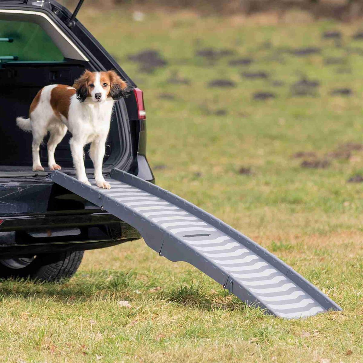 roem Oneerlijkheid noodsituatie Accessoires om de hond in auto te vervoeren